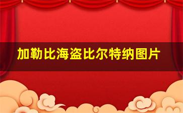 加勒比海盗比尔特纳图片