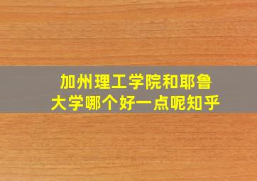 加州理工学院和耶鲁大学哪个好一点呢知乎