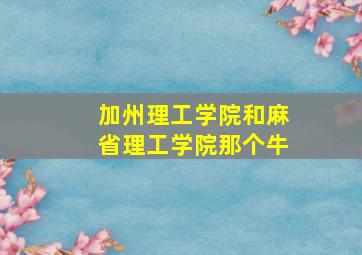 加州理工学院和麻省理工学院那个牛