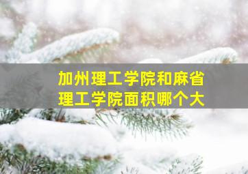 加州理工学院和麻省理工学院面积哪个大