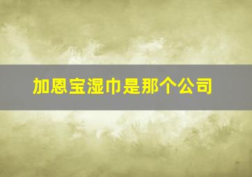 加恩宝湿巾是那个公司