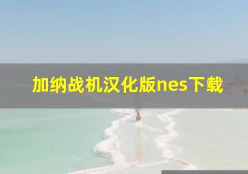 加纳战机汉化版nes下载