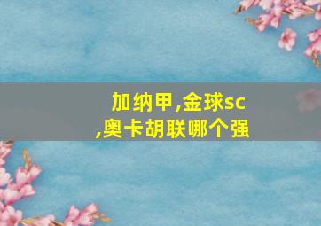 加纳甲,金球sc,奥卡胡联哪个强