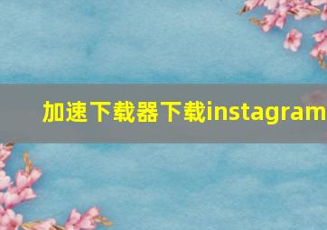 加速下载器下载instagram