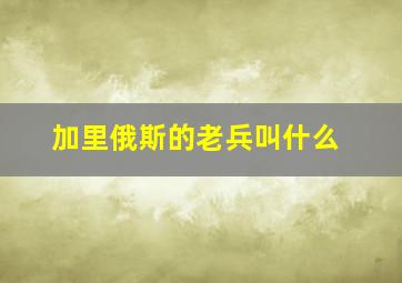 加里俄斯的老兵叫什么