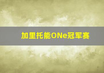 加里托能ONe冠军赛