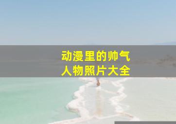 动漫里的帅气人物照片大全