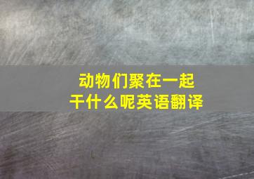 动物们聚在一起干什么呢英语翻译