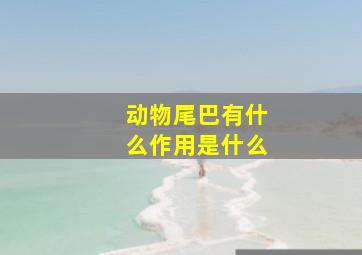 动物尾巴有什么作用是什么