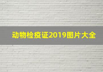 动物检疫证2019图片大全