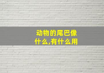 动物的尾巴像什么,有什么用