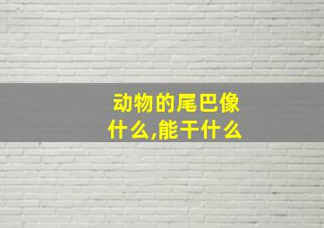 动物的尾巴像什么,能干什么