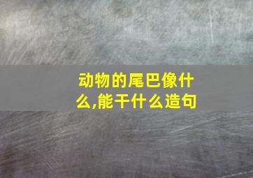 动物的尾巴像什么,能干什么造句