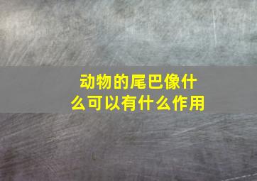 动物的尾巴像什么可以有什么作用