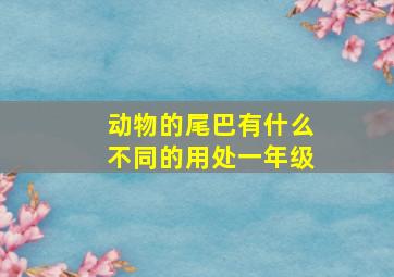 动物的尾巴有什么不同的用处一年级