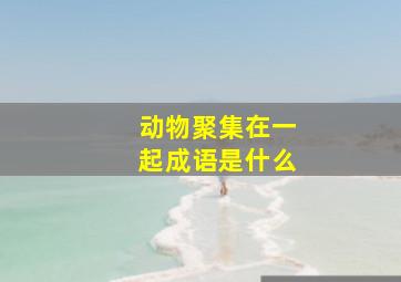 动物聚集在一起成语是什么