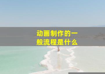 动画制作的一般流程是什么