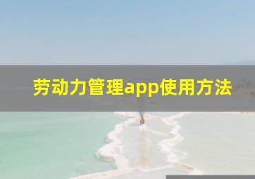 劳动力管理app使用方法