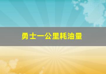 勇士一公里耗油量