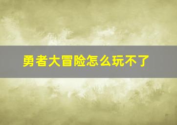 勇者大冒险怎么玩不了