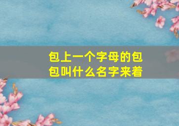 包上一个字母的包包叫什么名字来着