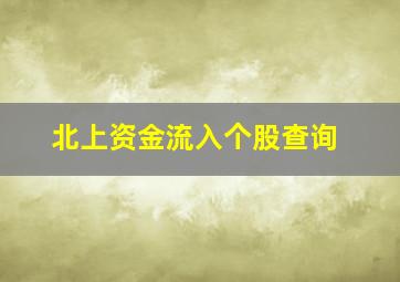 北上资金流入个股查询