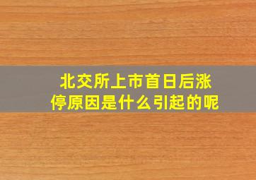 北交所上市首日后涨停原因是什么引起的呢