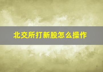 北交所打新股怎么操作