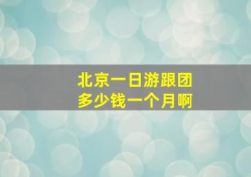 北京一日游跟团多少钱一个月啊