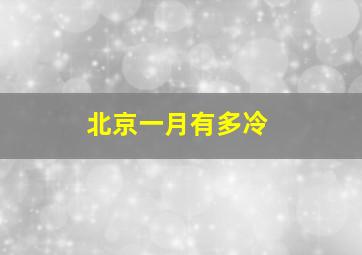 北京一月有多冷