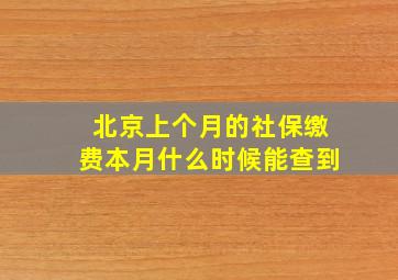 北京上个月的社保缴费本月什么时候能查到