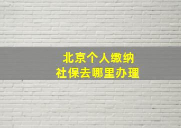 北京个人缴纳社保去哪里办理