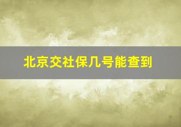 北京交社保几号能查到