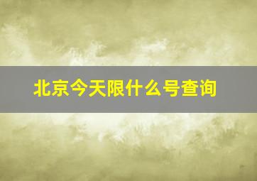 北京今天限什么号查询