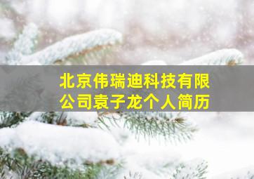 北京伟瑞迪科技有限公司袁子龙个人简历