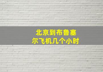 北京到布鲁塞尔飞机几个小时