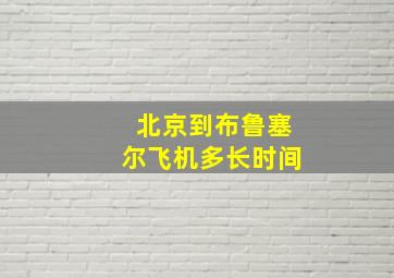 北京到布鲁塞尔飞机多长时间