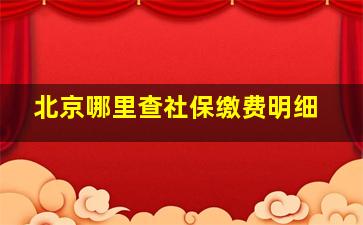 北京哪里查社保缴费明细