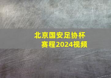 北京国安足协杯赛程2024视频