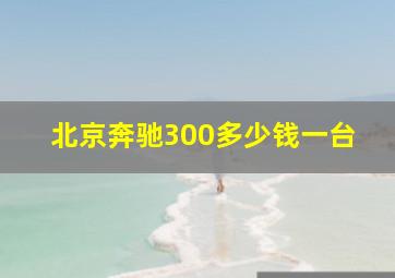 北京奔驰300多少钱一台