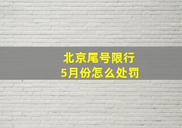 北京尾号限行5月份怎么处罚