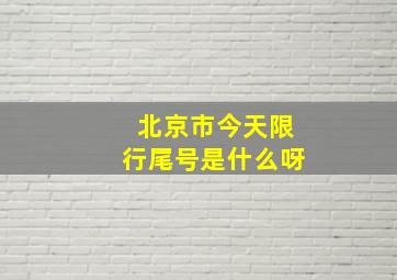 北京市今天限行尾号是什么呀