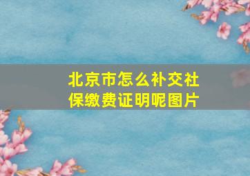 北京市怎么补交社保缴费证明呢图片