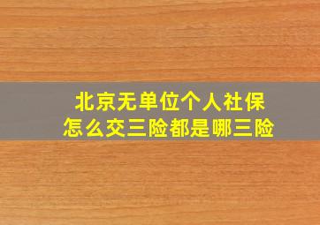 北京无单位个人社保怎么交三险都是哪三险