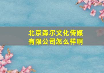 北京森尔文化传媒有限公司怎么样啊