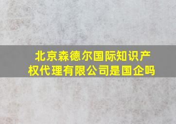 北京森德尔国际知识产权代理有限公司是国企吗