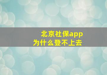 北京社保app为什么登不上去