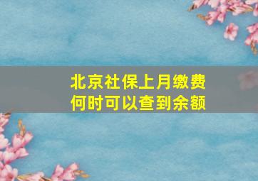 北京社保上月缴费何时可以查到余额