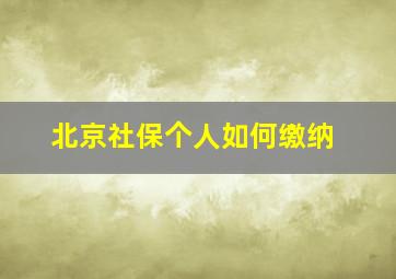 北京社保个人如何缴纳