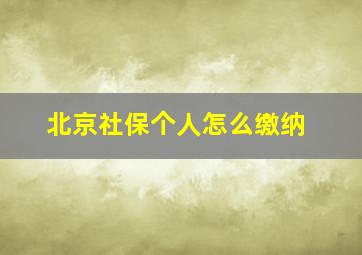 北京社保个人怎么缴纳